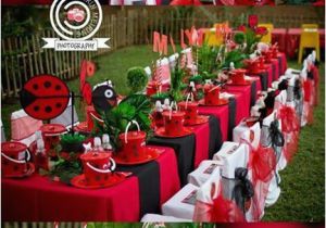 Ladybug Birthday Decorations Ideas Ladybug Party Ideas for Kids 4akid Fan Makes A Stunning