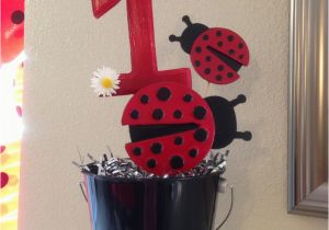 Ladybug Decorations for 1st Birthday Party Ladybug 1st Birthday Decorations Ladybugs Party theme