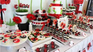 Ladybug Decorations for Birthday Party 2nd Birthday Party themes for the Best Memories for