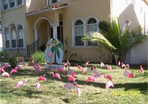 Lawn Decorations for Birthday Flock N Surprise 321 430 6454 and 727 687 8111 Longwood