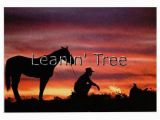 Leanin Tree Western Birthday Cards Leanin Tree Road Less Traveled Cowboy Birthday Greeting