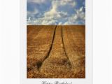 Left Field Birthday Cards Been and Gone Wheat Field Happy Birthday Greeting Card