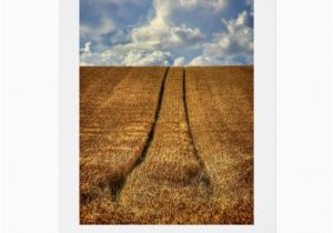 Left Field Birthday Cards Been and Gone Wheat Field Happy Birthday Greeting Card