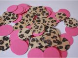 Leopard Birthday Decorations Leopard Cheetah Hot Pink Confetti Perfect for Your Party