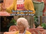 Lesbian Birthday Meme Best 25 Golden Girls Meme Ideas On Pinterest Golden