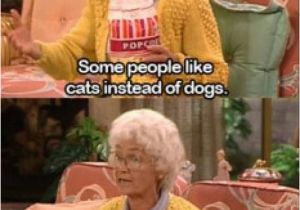 Lesbian Birthday Meme Best 25 Golden Girls Meme Ideas On Pinterest Golden