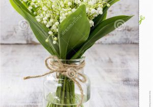 Lily Of the Valley Birthday Flowers Bouquet Of Lily Of the Valley Flowers Stock Photo Image