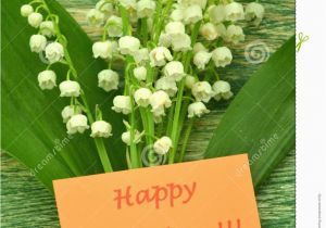 Lily Of the Valley Birthday Flowers Happy Birthday and Bouquet Of Delicate Fresh Lilies Of the