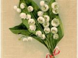 Lily Of the Valley Birthday Flowers Lily Of the Valley Birthday Card the Graphics Fairy