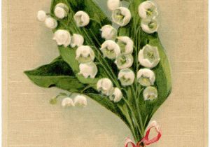 Lily Of the Valley Birthday Flowers Lily Of the Valley Birthday Card the Graphics Fairy