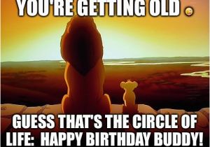 Lion King Birthday Meme Lion King Meme Imgflip