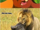 Lion King Birthday Meme Lion King Really King by Daferx Meme Center