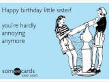 Little Sister Birthday Meme 19 Very Funny Sis Birthday Meme Images and Pictures Memesboy