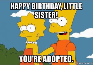 Little Sister Birthday Meme 20 Hilarious Birthday Memes for Your Sister Sayingimages Com