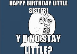 Little Sister Birthday Meme 40 Birthday Memes for Sister Wishesgreeting
