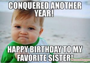 Little Sister Birthday Memes 47 Amusing Sister Birthday Meme Graphics Photos Wishmeme