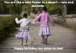 Little Sister Birthday Memes top 30 Birthday Quotes for Sister In Law with Images