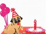 Lovepop Birthday Cards Pug Cake Smash Pop Up Birthday Card Lovepop