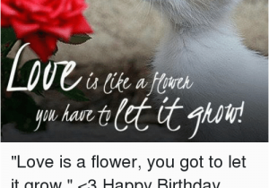 Loving Birthday Memes Have Fr Lovecatsworldcom Love is A Flower You Got to Let