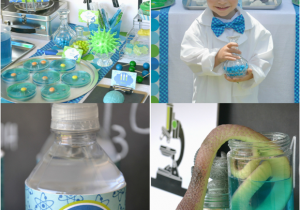 Mad Science Birthday Party Decorations Mad Scientist Science Birthday Party Ideas Party Ideas