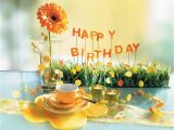 Male Birthday Flowers Birthday Flowers Fleurs Damour