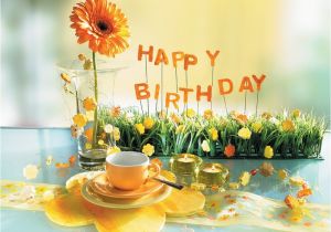 Male Birthday Flowers Birthday Flowers Fleurs Damour