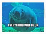 Manatee Birthday Card Calming Manatee Greeting Card Zazzle Com