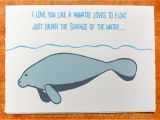 Manatee Birthday Card I Love You Manatee Blank Greeting Card