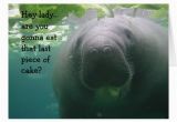 Manatee Birthday Card Manatee Birthday Last Piece Of Cake Lady 5×7 Card Zazzle