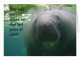 Manatee Birthday Card Manatee Birthday Last Piece Of Cake Lady 5×7 Card Zazzle