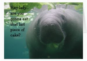 Manatee Birthday Card Manatee Birthday Last Piece Of Cake Lady 5×7 Card Zazzle