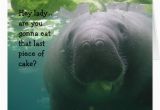 Manatee Birthday Card Manatee Birthday Last Piece Of Cake Lady Big Greeting