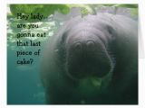 Manatee Birthday Card Manatee Birthday Last Piece Of Cake Lady Big Greeting