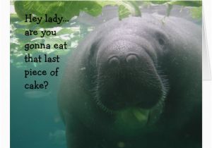 Manatee Birthday Card Manatee Birthday Last Piece Of Cake Lady Big Greeting