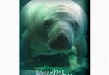 Manatee Birthday Card Manatee Birthday Wishes Happy Birthday Card Zazzle