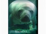 Manatee Birthday Card Manatee Birthday Wishes Happy Birthday Card Zazzle