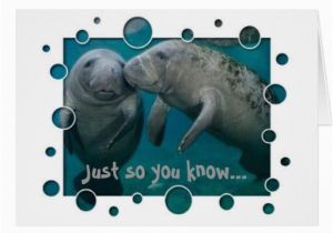 Manatee Birthday Card Manatee Love Valentine 39 S Day Greeting Cards Zazzle