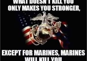 Marine Birthday Meme 1000 Ideas About Marine Corps On Pinterest Army Usmc