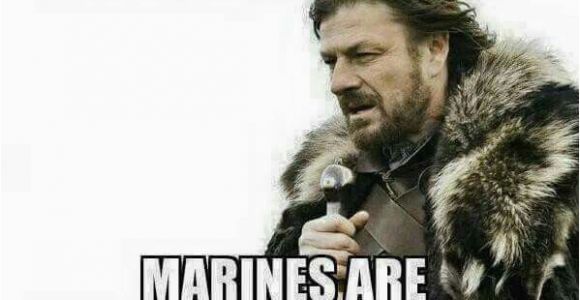 Marine Corps Birthday Memes 86 Best Oorah Marine Corps Images On Pinterest