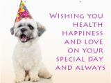 Mean Happy Birthday Quotes Mean Birthday Quotes Quotesgram