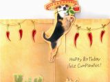 Mexican Birthday Greeting Cards the Gallery for Gt Funny Mexican Birthday Ecards