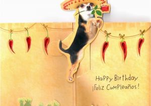 Mexican Birthday Greeting Cards the Gallery for Gt Funny Mexican Birthday Ecards