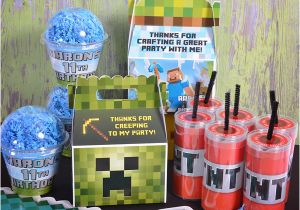 Minecraft Decorations for Birthday Party Minecraft Party Supplies