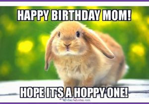 Moms Birthday Meme Funny Birthday Memes for Dad Mom Brother or Sister