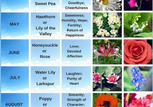 Monthly Birthday Flowers 25 Beautiful Birth Flower Tattoos Ideas On Pinterest