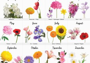 Monthly Birthday Flowers A Visual Guide to Wedding Flowers by Month Wedding