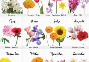 Monthly Birthday Flowers Best 25 Birth Flower Tattoos Ideas On Pinterest