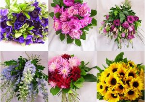 Monthly Birthday Flowers Birth Month Flowers Pictures Beautiful Flowers