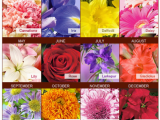 Monthly Birthday Flowers Merry Brides Your Birth Month Flower