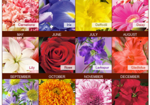 Monthly Birthday Flowers Merry Brides Your Birth Month Flower